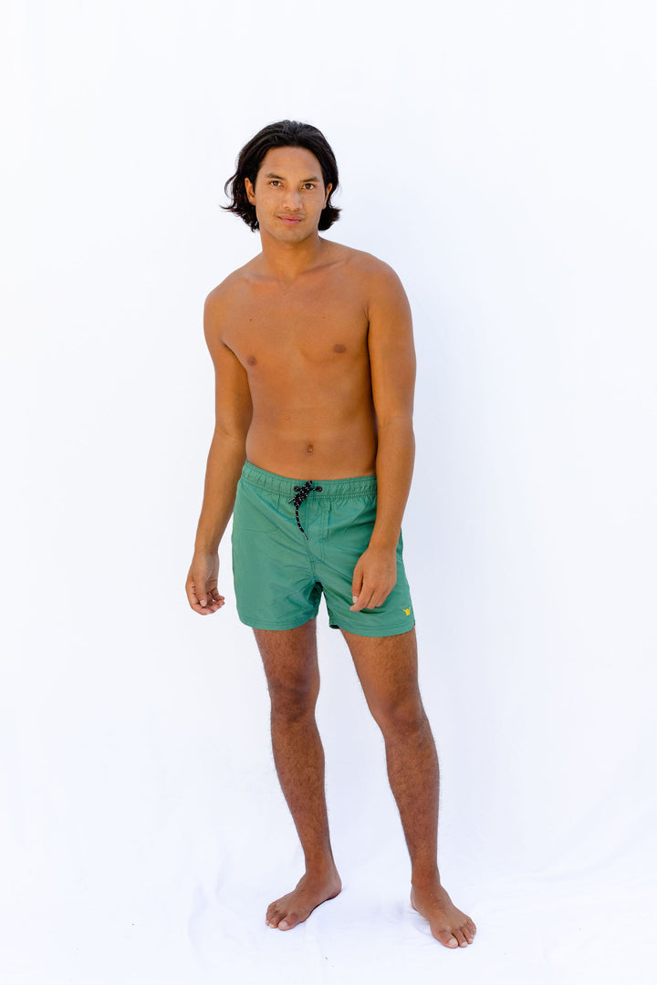 Beach Volley  Boardshort  - Green - Hang Loose#color_green