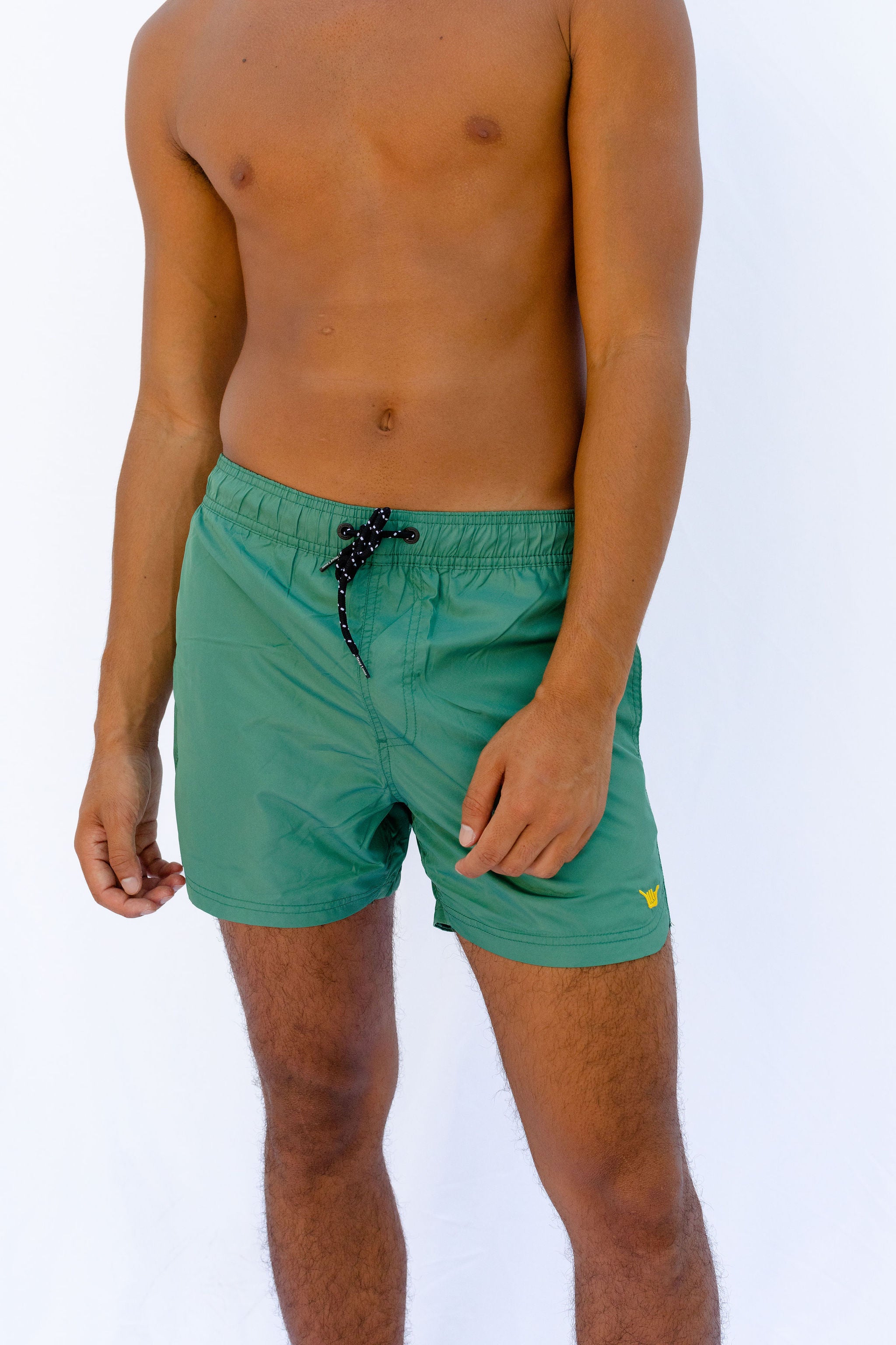 Beach Volley  Boardshort  - Green - Hang Loose#color_green