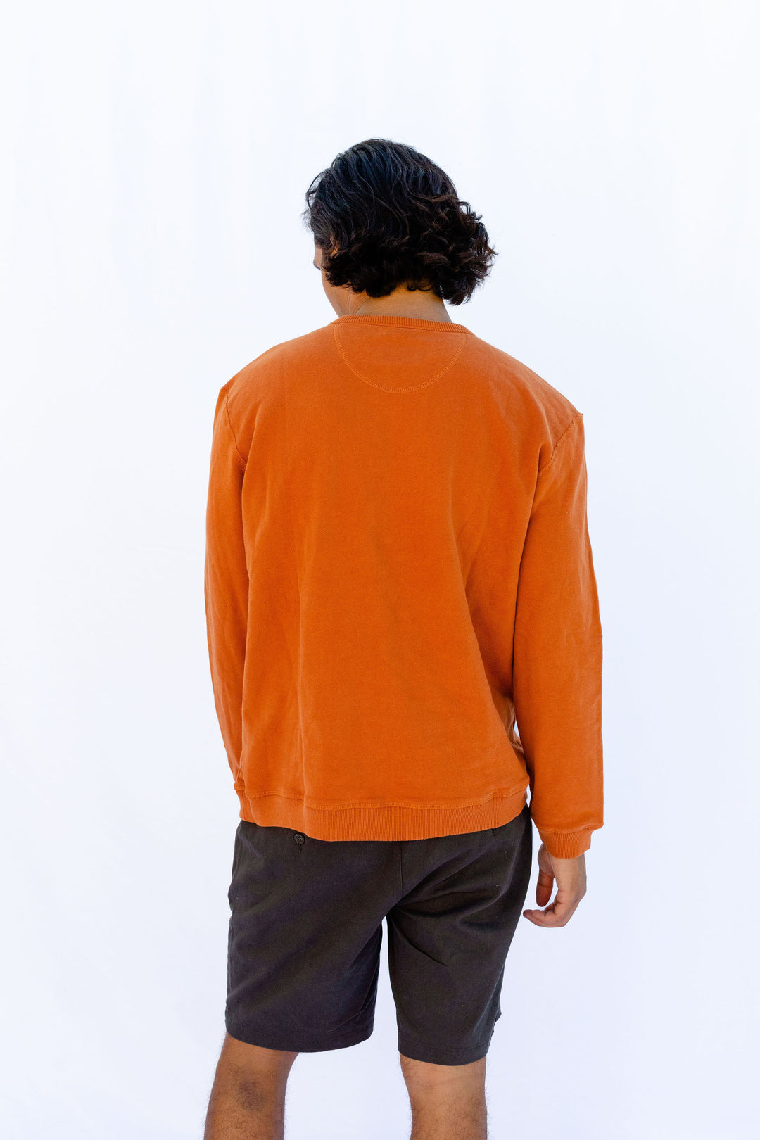 Eighty Two PIMA Cotton Crew - Brick - Hang Loose#color_brick